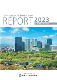 ディスクロージャー誌