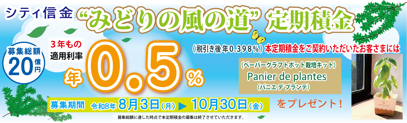みどりの風の道